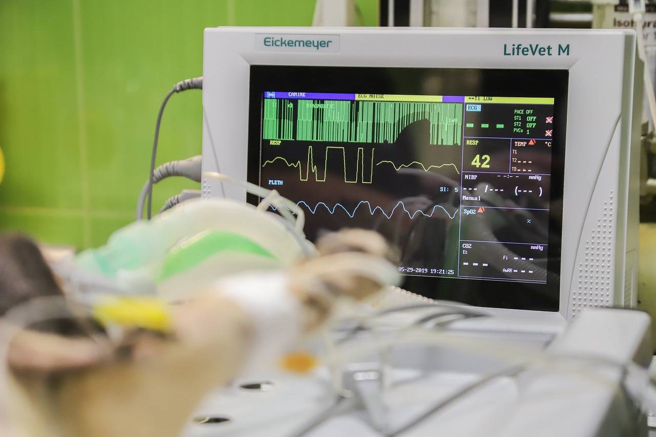 Automatyka budynkowa w gabinecie weterynaryjnym zmienia codzienną pracę